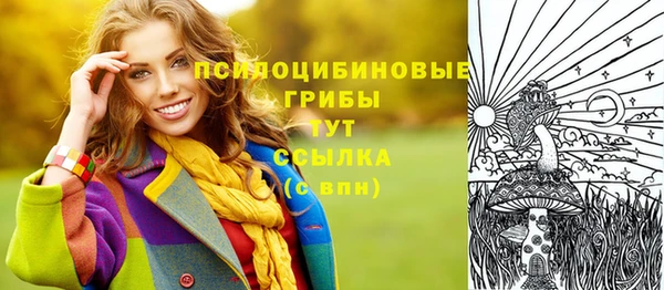 метадон Осташков