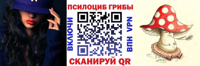 Купить закладки  Свирск  Галлюциногенные грибы GOLDEN TEACHER 